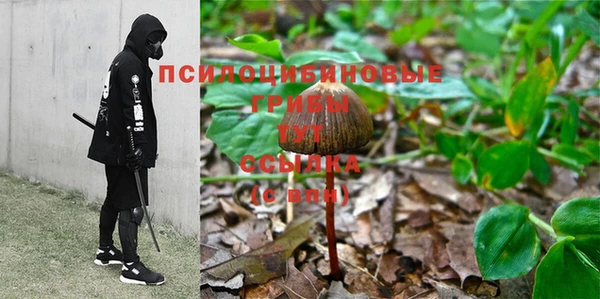 гидропоника Абдулино