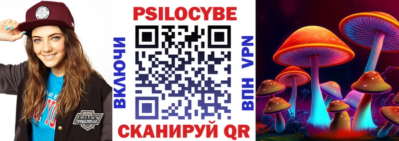 купить  цена  Ильский  Галлюциногенные грибы мицелий 